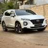 HYUNDAI SANTAFE Année : 2018/2019 thumb 1