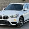 BMW X1 2017 xDrive thumb 0