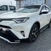 2018 RAV4 thumb 2