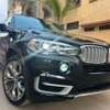 BMW x5 thumb 1