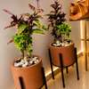 POT DE FLEURS thumb 7
