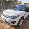 Land Rover Discovery thumb 1