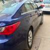 Hyundai Sonata clean thumb 12