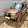 RENAULT DUSTER 2014 thumb 1