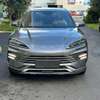 BYD Song PuLS  2024 thumb 3