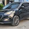 Hyundai Tucsson EVGt thumb 2