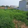 Terrain Saly zone résidentiel A vendre thumb 0