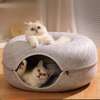 tunnel en forme de donut thumb 2