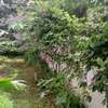 villa louer mermoz thumb 1