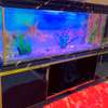 Très jolie et  grand Aquarium de 250 Litres et 1m50 de long thumb 2