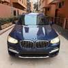 BMW X3_2019 thumb 0