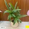 Plantes artificielles décoratrice thumb 9