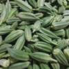Notto agro-fournisseur thumb 9