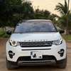 Range Rover Discovery thumb 1