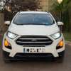 2019 FORD ESCOSPORT 2.0 4wd thumb 4