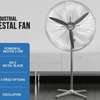 VENTILATEUR INDUSTRIEL SUR PIED thumb 1