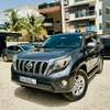 TOYOTA LAND CRUISER 2013 thumb 6