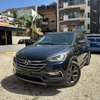 Hyundai Santafe thumb 1