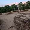 Terrain de 7 Hectares Plats et Arborés à bambilor thumb 9