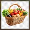 Notto agro-fournisseur thumb 2