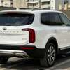 KIA TELLIRUDE  SMS 2020 thumb 3
