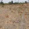 Verger 3ha à vendre à Ndianda Ngeuniène sur la route de joal thumb 8