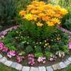 Aménagement Jardin Espace Vert Paysager avec gazon naturel thumb 0