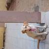 Labrador noir jeune affectueux et joueur thumb 1