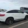 GLE thumb 10