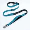 Laisse Gros Chien jusqu'a 45 kg thumb 3