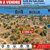 TERRAIN À VENDRE – ÎLES DU SINE-SALOUM Commune de Fimela thumb 1