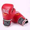 Everlast Gants de boxe Professionnel thumb 0
