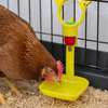 Abreuvoir automatique pipette thumb 0