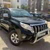 TOYOTA LAND CRUISER 2011 thumb 0