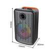 SinG-e - Enceinte portable sans fil avec 2 microphones thumb 2