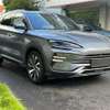 BYD Song PuLS  2024 thumb 0