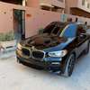 BMW X3 _2019 PackM thumb 1