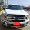FORD F150 RAPTOR 2019 thumb 0