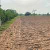 CHAMPS 2 Hectares à Vendre à Sangué (Thiès) thumb 2