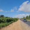 CHAMP DE +43.000 M2 BAYAKH thumb 0