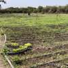 Terrain 1 hectare a sebiponty ndoyene thumb 2