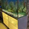 Superbe Aquarium de 280 Litres thumb 1