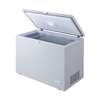 CONGELATEUR LG HORIZONTAL 300LITRES thumb 2