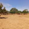 Terrains de 7 590 m² dans la zone horticole de Tassette thumb 1