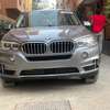 BMW X5 _2017 thumb 1
