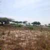 Terrain agricole accessible a vendre thumb 4