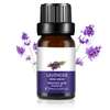 Coffret Pack Parfum Diffuseur Lavande thumb 3