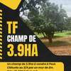 Champs de 3,9 ha à vendre à Pout Tf individuel thumb 1