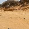 Terrains de 7 590 m² dans la zone horticole de Tassette thumb 7
