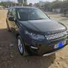 Range Rover Discovery thumb 5